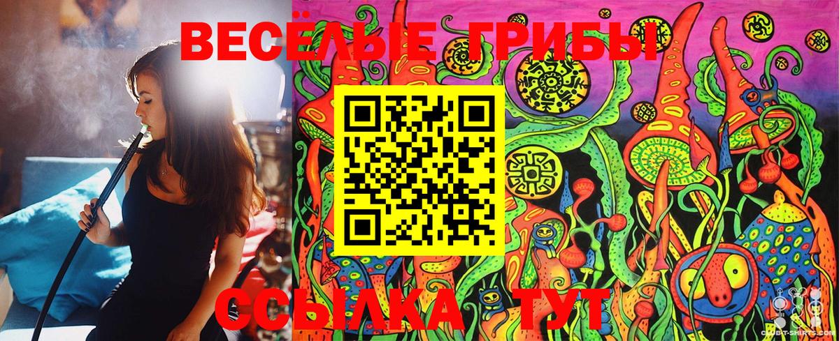 Галлюциногенные грибы Psilocybe Звенигород